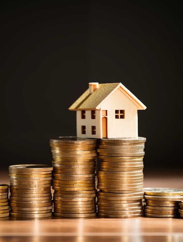 Investment Opportunity Growth Models